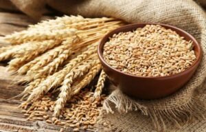Nepal Will Import 200,000 metric tonnes of Wheat From India - The Nepal Times